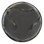 163062731_1